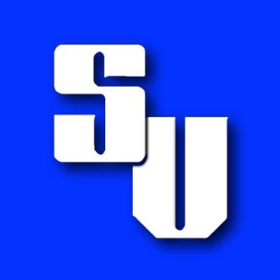 ScratchVision™️ Profile