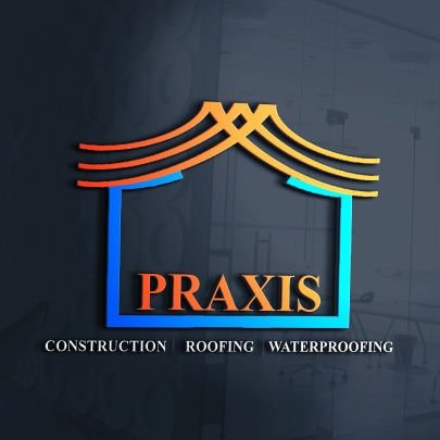 buildpraxis Profile Picture