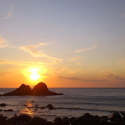 gokkun_umaji's profile picture. 