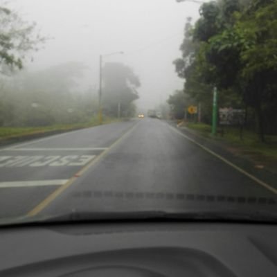 Alejand24750378's profile picture. 