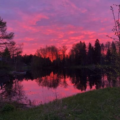 Simplet74847374's profile picture. 