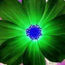 Christine Wray - @cmwray40 - Twitter