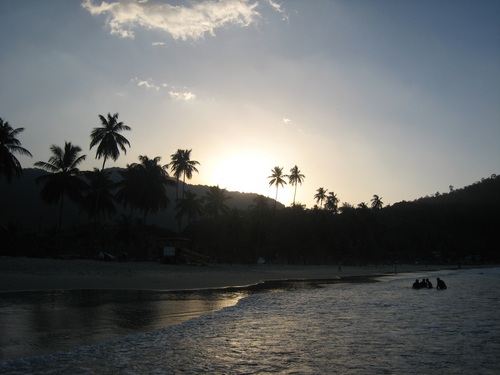 dkbird's profile picture. Driven, first generation Trini-American, passionate about using tech as a strategic tool in business, privacy & productivity enhancing tech