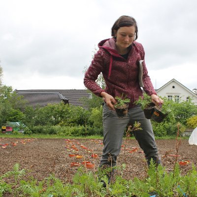 Chemical Ecologist, plant-insect-interactions from roots to flowers