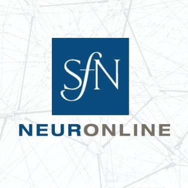 Neuronline 🧠🔬