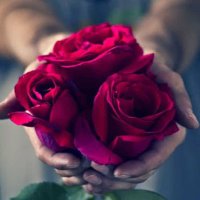 وجدان السلامه (@wejdansl) 's Twitter Profile
