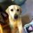 bethchanchan's profile image