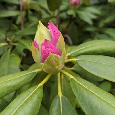 MaxineWellsLew1's profile picture. 