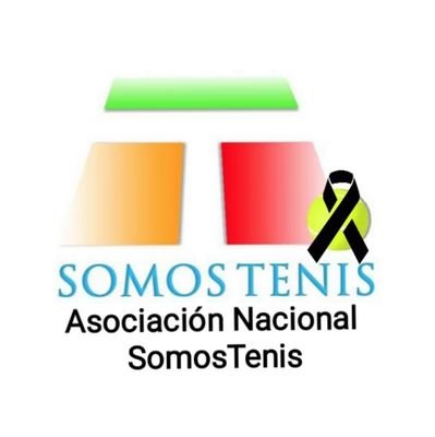 Asociación sin ánimo de lucro que promociona a nivel nacional el tenis base con iniciativas en colegios,polideportivos,clubs, clinic, cursos formación....