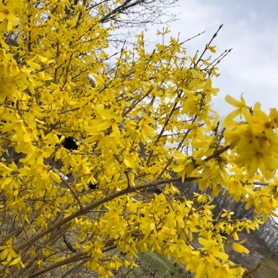 aJH5JNnUwcwf9ia's profile picture. 天高72→札幌東→北大経済11組🇩🇪