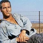 LukeLuke1981's profile picture. investor/trader. US MSO long term investor. Husband and dog father. no financial advice. #msogang