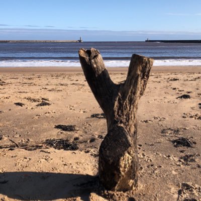 Fusemcintosh851's profile picture. work to live , not live to work ….. ❤️