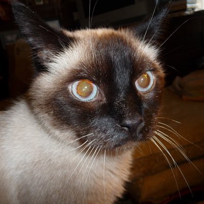 johnjohngbikes's profile picture. I’m into cycling and coding. I used to be a teacher but I had a stem cell transplant for lymphoma and now kids and people make me sick. Into web development.