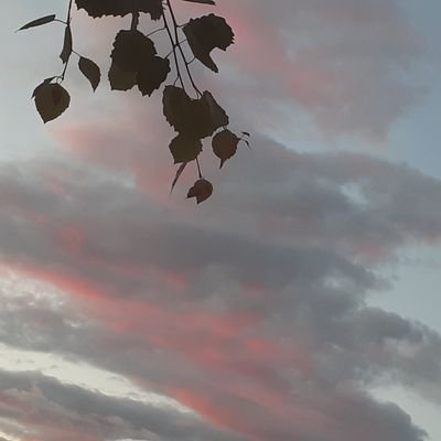 happyskycat7's profile picture. 20↑ 乃木坂46、櫻坂46、＝(🌱🦑)
nmmn〇