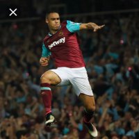 Bradley Pace (@bradleypace_) 's Twitter Profile