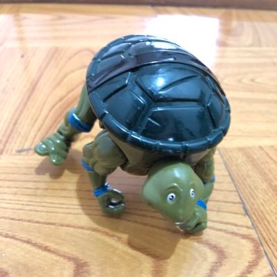 elechemist0620's profile picture. 1991年生まれ。理系。