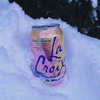 Sparkling Hot Dog Water (@officialhotdogs) 's Twitter Profile Photo