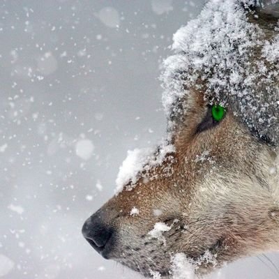 Socom Veteran. Variety streamer of 3rd person shooters like PUBG, Socom in Fortnite, and The Last of Us 1 and 2.
👉🏾 https://t.co/simItzTjVo
