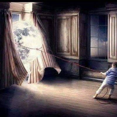 zidiRaj08796210's profile picture. I don't care, who are you