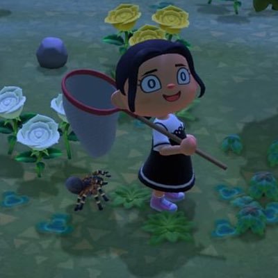 ursa island rep ʕ •ᴥ•ʔ | she/her | hazel’s 𝓊𝓃𝒾-𝓌𝑜𝓌 #𝟣 fan | 22