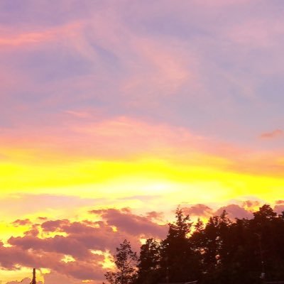 calmolmol's profile picture. 20↑/夢垢