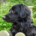 Der brave Oscar (@oscar_v_nebenan) Twitter profile photo Der brave Oscar (@oscar_v_nebenan) Twitter profile photo