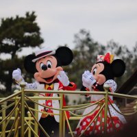 Mickey Minnie(@ky31Qv1gsbB28uK) 's Twitter Profile Photo