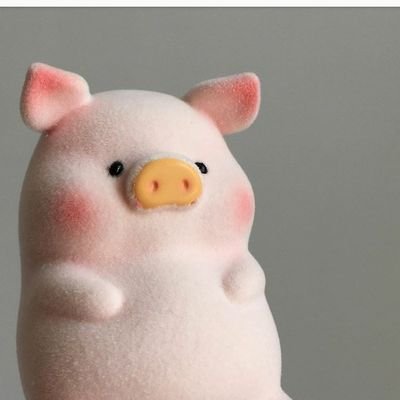 T_to_m_ko_5's profile picture. 