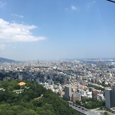 derpiernm's profile picture. 