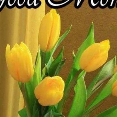 Shubhan01711856's profile picture. 