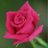 Mohan97437211's profile image