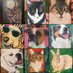 Pawsitive Artlook (@pawsitivartlook) Twitter profile photo Pawsitive Artlook (@pawsitivartlook) Twitter profile photo