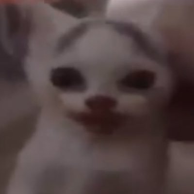 unfortunateWC's profile picture. dm submissions if u want