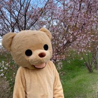 くまもちゃん (@kumakumamo888) 's Twitter Profile Photo くまもちゃん (@kumakumamo888) 's Twitter Profile Photo