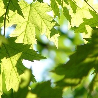 🍀身の回りにある多くの物やその原料は強制労働/児童労働/環境破壊/人や動物の心身や生命へ害をもたらす事によって作られていると思われます。
自分自身や他の人、動物の心身の健康と環境を尊重、守ることを何よりも人として守るべき最優先事項とし、仕事のあり方や生活様式の変化を企業や国、行政に求め、新品より中古を購入しています。