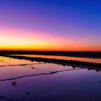 Aquí yace Multimaniaco (@multimaniaco) 's Twitter Profile