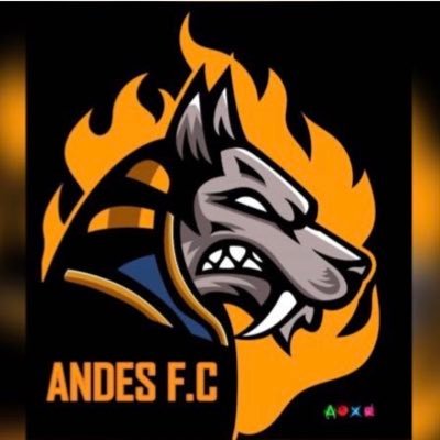 Equipo 🇨🇴 ClubesPro @playstation @easportsfifa ⚽️ Jugamos LVC y EFA 🎮 Fundado en el 2020 🏅