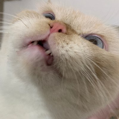 0073.UVさんのプロフィール画像