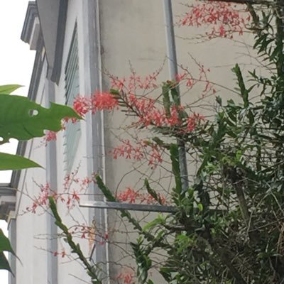 longngc12's profile picture. 