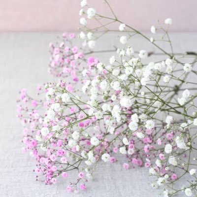 vlcoidlgbrjy's profile picture. 