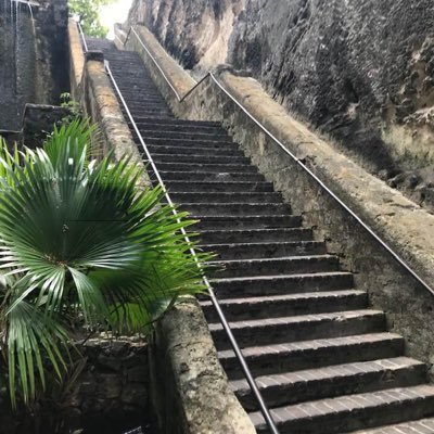 stvnhsv's profile picture. 