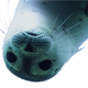 Home of funny pictures, animated gifs, videos and the seal club mix.