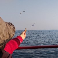 四死五生 (@pathos7777) 's Twitter Profile