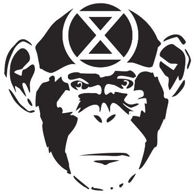 🙈 Klimakrise und Umweltzerstörung
🙉 Ausreden und falsche Versprechen
Es reicht! #NatureStrikesBack
🐒Handelt Jetzt! Hört auf die Wissenschaft! Gemeinsam!