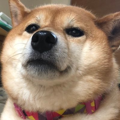 みのさんのプロフィール画像