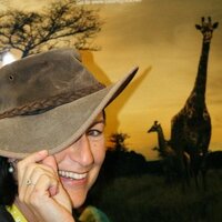 SafariTart aka Carrie Hampton (@safaritart) 's Twitter Profile