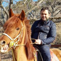 Süleyman Mutlu (@mutlu_suleyman) 's Twitter Profile