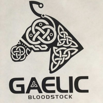 PhilipJBurns1's profile picture. Partner Gaelic Bloodstock