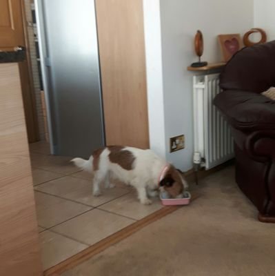 William86956886's profile picture. 