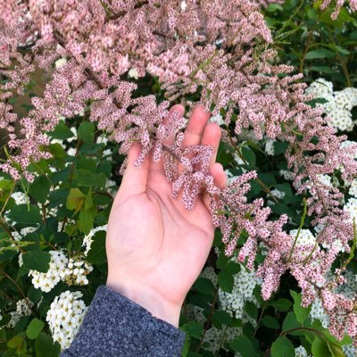 y_pakk's profile picture. 